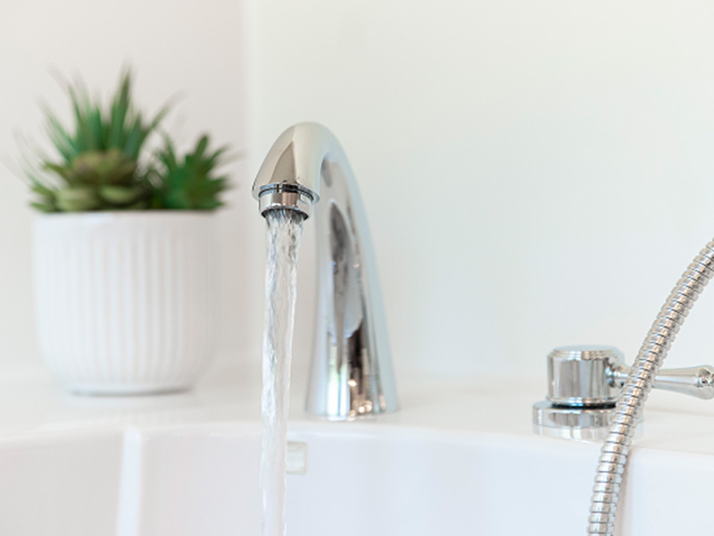 The image shows a modern bathroom with a white bathtub, a silver faucet, and a plant in the background.