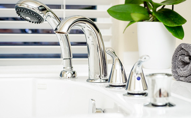 The image features a modern double sink with chrome fixtures, set against a backdrop of a kitchen countertop with a plant and a window blind partially visible.